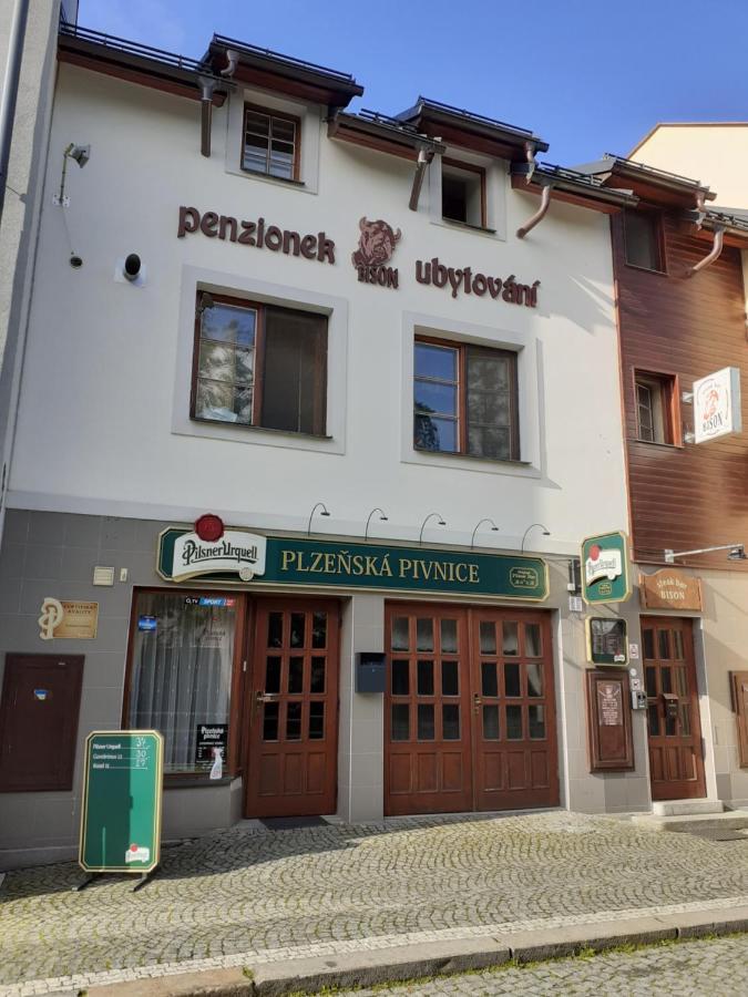 Ubytovani Nad Bisonem Hlinsko Exterior photo
